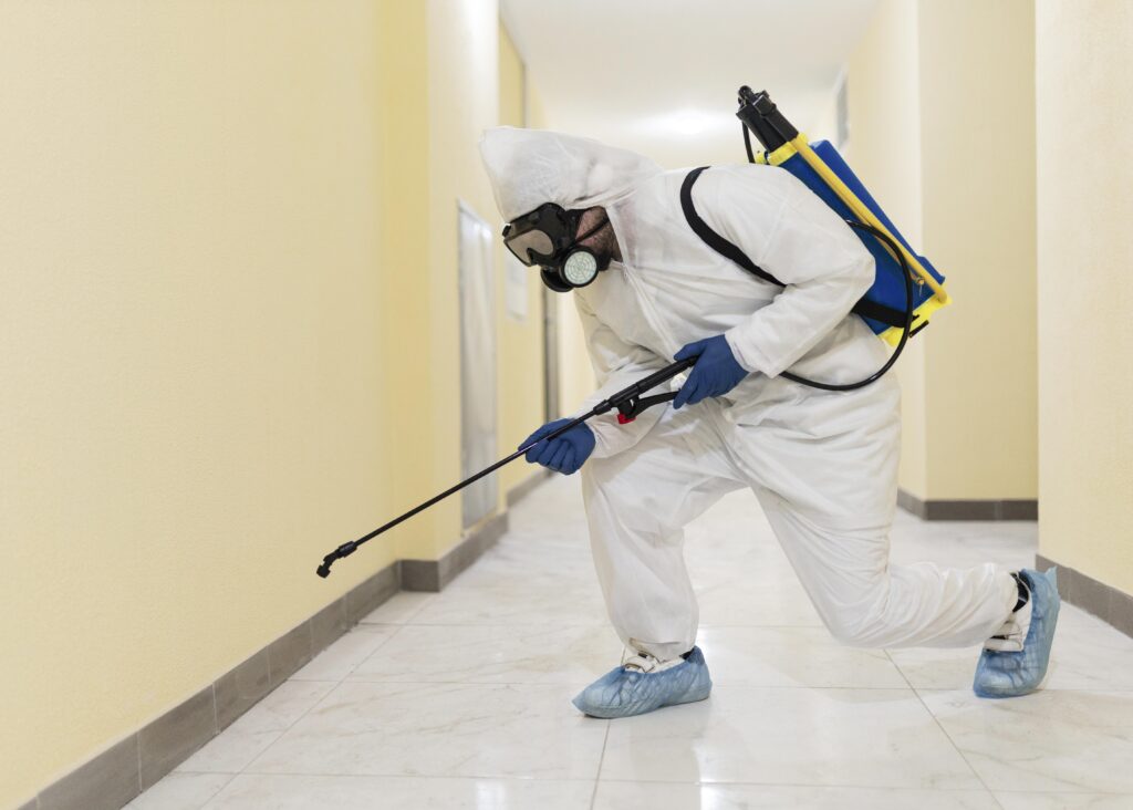 professional mold cleaning services in Sydney