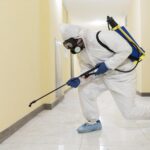 professional mold cleaning services in Sydney