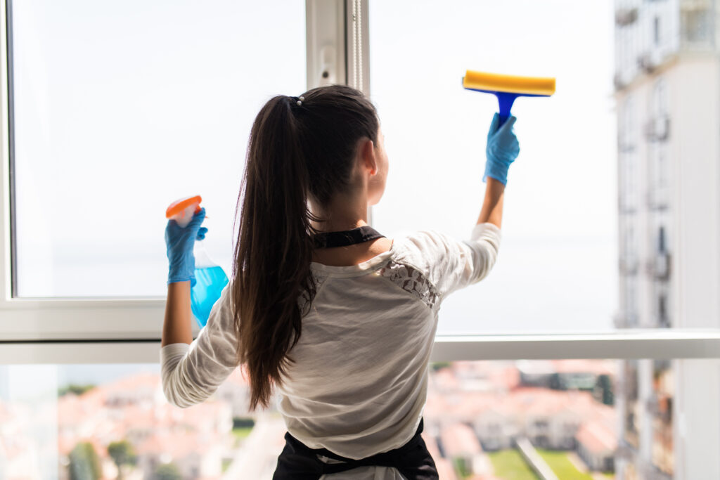 professional window cleaning services