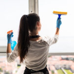 professional window cleaning services